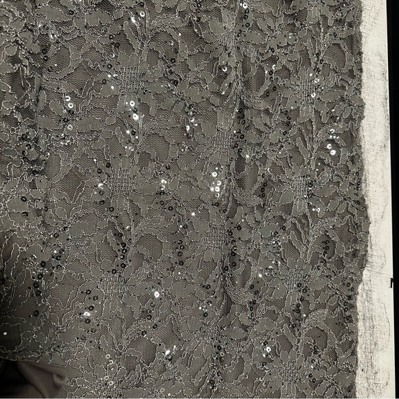 R & M Richards Sequin Lacey Silver Gown - Picture 5 of 9